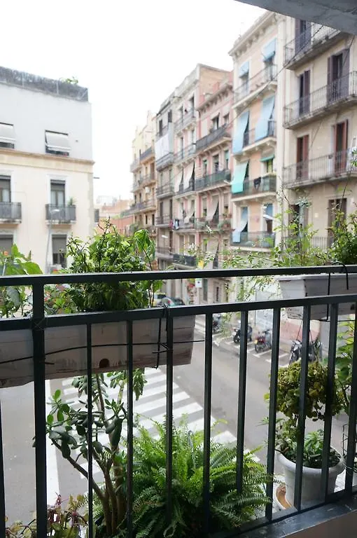 Camino B&B Barcelone Auberge de jeunesse